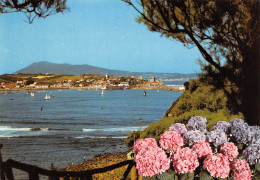 64 SAINT JEAN DE LUZ Promenade Sainte Barbe Socoa Carte Vierge Non Circulé édition Du Rocher (Scans R/V) N° 8 \MO7057 - Saint Jean De Luz