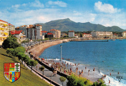 64 SAINT JEAN DE LUZ La Plage  Carte Vierge Non Circulé édition REX (Scans R/V) N° 41 \MO7057 - Saint Jean De Luz