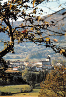 64 SARE Vue Panoramique Carte Vierge Non Circulé édition Rameaux ( Scans R/V) N° 67 \MO7058 - Sare