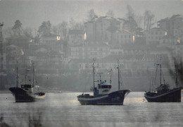 64 HENDAYE  Chalutiers Dans La Brume Port De La Floride Carte Vierge Non Circulé éditions CAP (Scans R/V) N° 3 \MO7059 - Hendaye