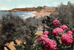 64 BIARRITZ Hortensias Plage Et Phare Carte Vierge Non Circulé éditions Lavielle (Scans R/V) N° 45 \MO7060 - Biarritz