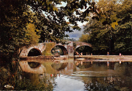 64  ASCAIN Le Pont Romain Et Son Barrage  Carte Vierge Non Circulé éditions Combier (Scans R/V) N° 71 \MO7063 - Ascain