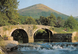 64  ASCAIN Pont Romain  Sur La Nivelle  Carte Vierge Non Circulé éditions Thouand (Scans R/V) N° 73 \MO7063 - Ascain