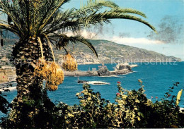 73296036 Funchal Cape Carajou Funchal - Andere & Zonder Classificatie