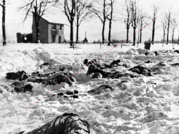 Liberation 1944  Bataille Des Ardennes      Malmedy - 1939-45