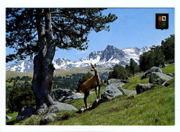 Les Pyrénées - L'ISARD - Sonstige & Ohne Zuordnung