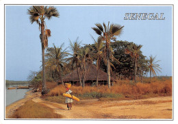 SENEGAL Case Au Bord De La Lagune éditions Africa Dakar  (Scans R/V) N° 19 \MP7101 - Sénégal