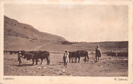 LESOTHO Lessouto BASUTOLAND Labourage Boeufs Labours  éd Sesuto (Scans R/V) N° 24 \MP7102 - Lesotho