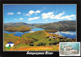 LESOTHO Lessouto SenqunyaneRiver Timbre D'Oreodaimon Quathllambae  Carte Vierge Non Circulé (Scans R/V) N° 78 \MP7102 - Lesotho