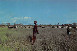 TOGO Lomé Scène Pastorale Berger Au Nord Togo éditions Delroisse  (Scans R/V) N° 30 \MP7103 - Togo