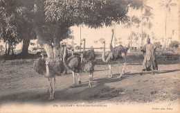 MALI Ex Soudan Français Kedu Autruches Domestiques (Scans R/V) N° 38 \MP7104 - Malí