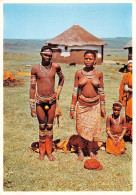 RSA Southern Africa RANSKEI COSTUMES NATIVE FINGO FAMILY édition PTY à DURBAN (Scans R/V) N° 67 \MP7109 - Afrique Du Sud