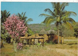 BENIN. COTONOU ( ENVOYE DE). CPSM. PROVINCE DE L'ATAKORA.  BAOBAB NAIN EN FLEURS + TEXTE ANNEE 1982 - Benin