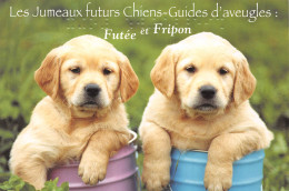 Futée Et Fripon CHIENS Chien Chiot Labrador Dog Hund Cane Chien Guide D'aveugles (Scans R/V) N° 62 \MP7110 - Hunde