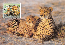 BURKINA FASO Ex Haute-Volta CHEETAH GUEPARDO Guepard OUAGADOUGOU Premier Jour WWF Non Circulé (2 Scans) N°65 \MP7111 - Burkina Faso