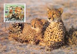 BURKINA FASO Ex Haute-Volta CHEETAH GUEPARDO Guepard OUAGADOUGOU Premier Jour Vierge Non Circulé (2 Scans) N°66 \MP7111 - Burkina Faso