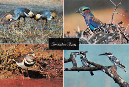 Zimbabwe Rhodesia BIRDS   Publisher PVT Salisbury HARARE (Scan R/V) N° 39 \MP7117 - Simbabwe