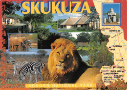 RSA Afrique Du Sud SKUKUZA Kruger National Park South Africa Suid Afrika PTY DURBAN (Scan R/V) N° 44 \MP7117 - Sudáfrica