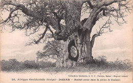 SENEGAL DAKAR Baobab Creux Dans Plaine De Ouakam édit Fortier Carte Vierge Non Circulé (Scan R/V) N° 8 \MP7119 - Sénégal