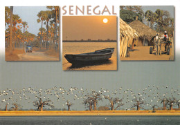 SENEGAL Samba Dia, Fumela, Simal, Dionewar : Villages Du Sine Saloum (Scan R/V) N° 65 MP7119 - Senegal