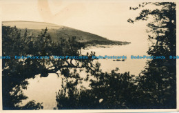 R032525 Old Postcard. Sea And Mountains. Trees - Monde