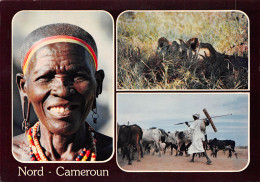 CAMEROUN Du Nord Femme KIRDI Lion WAZA Kousseri Non Circulé Format  17 X 11,8 Cm Photo Denis (Scan R/V) N° 87 \MP7122 - Kamerun