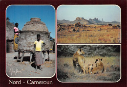 CAMEROUN Du Nord MASSA WAZA Kapsikis  Carte Vierge Non Circulé Format  17 X 11,8 Cm Photo Denis (Scan R/V) N° 86 \MP7122 - Camerun