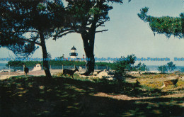 R031744 Pacific Grove Light. California. H. S. Crocker - Monde