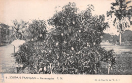 MALI SOUDAN Français A.O.F. Arbre Un MANGUIER  (Scan R/V) N° 74 \MP7123 - Malí