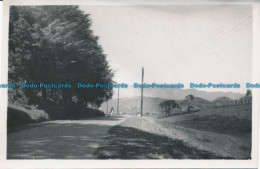 R032538 Old Postcard. Road And Trees - World