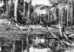 GABON Les Marais Route De KANGO Beau Timbre Au Dos édition Gaud (Scan R/V) N°51 \MP7130 - Gabón