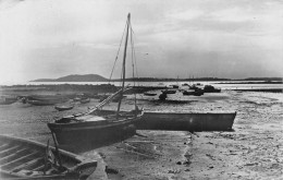 GUINEE  CONAKRY Port De Peches PHOTO J PETERSEN édition ROLY Beau Timbre Au Dos (Scan R/V) N° 75 \MP7132 - Guinée Française