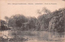 GUINEE Française CONAKRY Forêt De Toumbo  (Scan R/V) N° 53 \MP7133 - Guinée Française