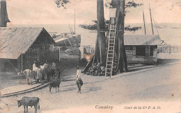 GUINEE Française CONAKRY Cour De La Compagnie CFAO Carte Vierge Non Circulé  (Scan R/V) N° 65 \MP7133 - Guinée Française