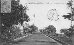 GUINEE Française CONAKRY La Promenade Des Anglais (Scan R/V) N° 21 \MP7134 - Französisch-Guinea