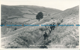 R032563 Llanwrtyd Wells Pony Trekkers. Judges Ltd. No 28733 - Welt