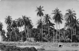 GUINEE Française CONAKRY La Corniche Beau Timbre éd Libraport (Scan R/V) N° 31 \MP7134 - Guinea Francese