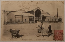 CONSTANTINE (Algérie) - Halle Aux Grains / Animaux Et Passants - Constantine