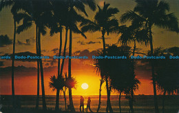 R030921 Viewing Cocopalms Silhouetted In A Brilliant Hawaiian Setting Sun. Loye - World