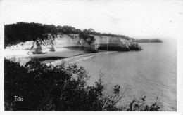 17   MESCHERS - Plage De L'Arnèche  (Scan R/V) N° 53 \MP7137 - Meschers