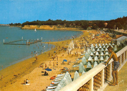 17 FOURAS Les BAINS La Grande Plage éditions Yvon (Scan R/V) N° 12 \MP7138 - Fouras-les-Bains