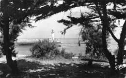 17 île De Ré LA FLOTTE EN Ré Entrée Du Port Phare Et Square De La Plage (Scan R/V) N° 30 \MP7143 - Ile De Ré