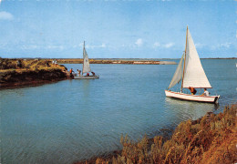 17 île De Ré ARS EN Ré  Voiliers Dans Le Fier (Scan R/V) N° 51 \MP7143 - Ile De Ré