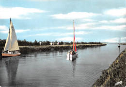 17 île De Ré ARS EN Ré  Voiliers Dans Le Chenal Du Fier (Scan R/V) N° 52 \MP7143 - Ile De Ré