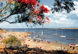 17 île De Ré  LES PORTES EN Ré  La Plage De Trousse Chemise (Scan R/V) N° 64 \MP7143 - Ile De Ré