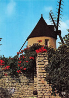 17 île De Ré  LE-BOIS-PLAGE-EN-Ré  Le Moulin Du Morinand  (Scan R/V) N°15  \MP7144 - Ile De Ré