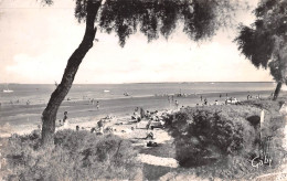 17 ILE D'OLERON Saint-Trojan-les-Bains  échappée Sur La Plage Du Gai Soleil  (Scan R/V) N°46 \MP7145 - Ile D'Oléron