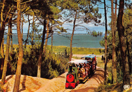 17 ILE D'OLERON Saint-Trojan-les-Bains Le Petit  P'tit Train TRAMWAY Touristique   (Scan R/V) N°65 \MP7145 - Ile D'Oléron