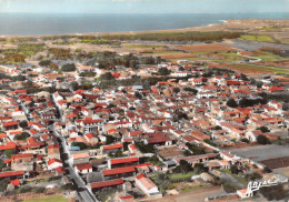 17 ILE D'OLERON Vue Générale Du Village De CHAUCRE (Scan R/V) N°78 \MP7145 - Saint-Pierre-d'Oleron