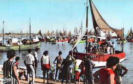 17 île D'OLERON Saint-Pierre-d'Oléron LA COTINIERE Le Port Arrivée Des Pêcheurs (Scan R/V) N° 7 \MP7146 - Saint-Pierre-d'Oleron